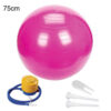 Ballon Yoga CoreSphere Harmony de 75 CM de couleur Rose avec pompe à gonflé