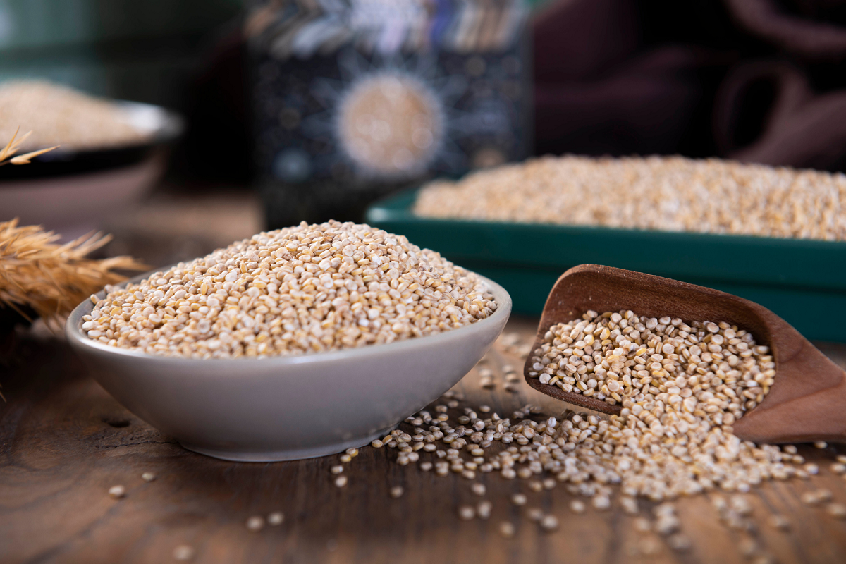 Propriétés du quinoa : connaître tous les bienfaits